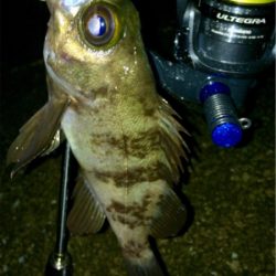 アジング成立も