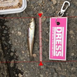 雨上がりのキス