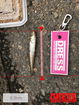 雨上がりのキス