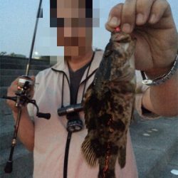 ライトゲーム去年とは違う?