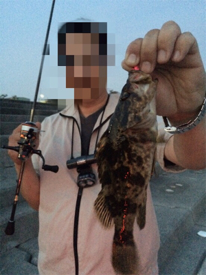 ライトゲーム去年とは違う?