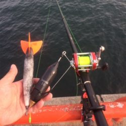 水潮だとこんなもん?