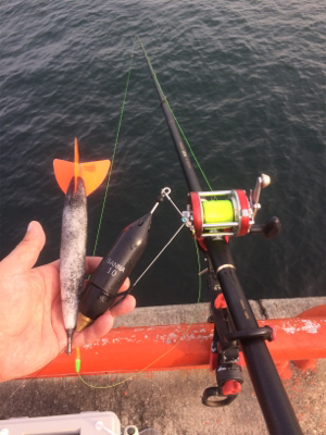 水潮だとこんなもん?