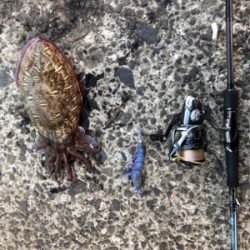 梅雨イカエギング