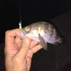 メバリングしてたら…