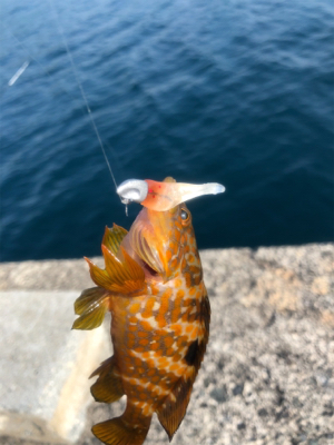 ライトワインド