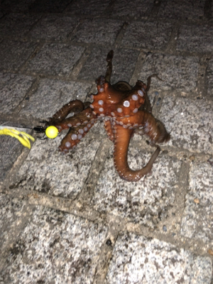 オクトパッシング