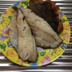 佐々木さん!アコウ美味しかったですか?