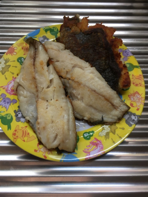 佐々木さん!アコウ美味しかったですか?