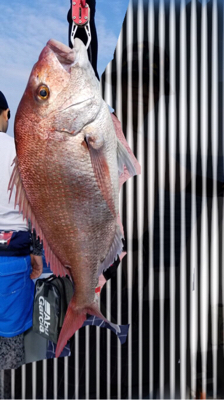 ディープタイラバ