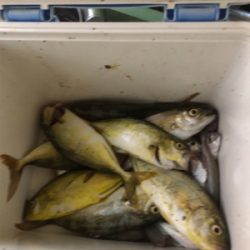 休み１日釣り三昧