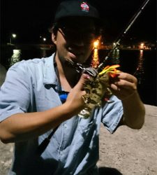 ロックフィッシュ