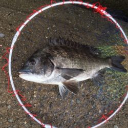 雨上がりを期待して