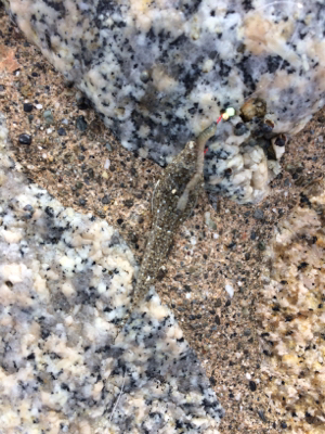 絶対に釣らなければならない獲物が底にはいる