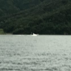 今日のサビキは ？