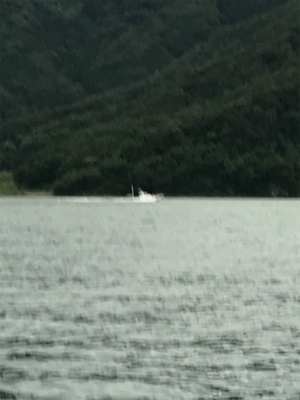 今日のサビキは ？