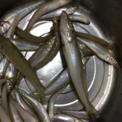 ナイスサイズ！！！！