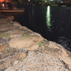 ロックフィッシュ