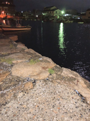 ロックフィッシュ