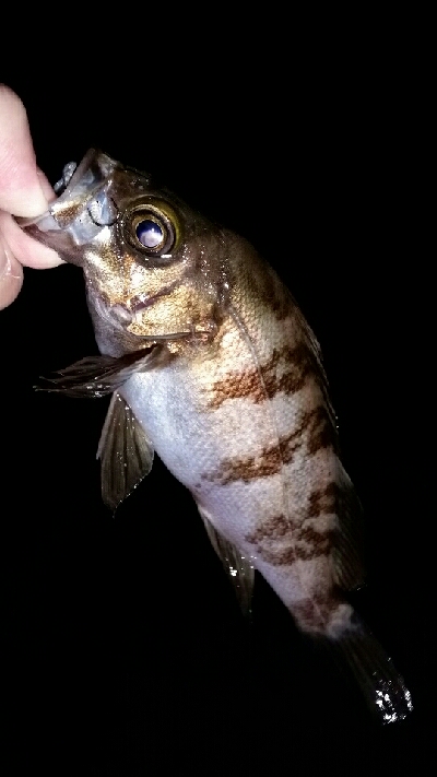 シーズン終了前に