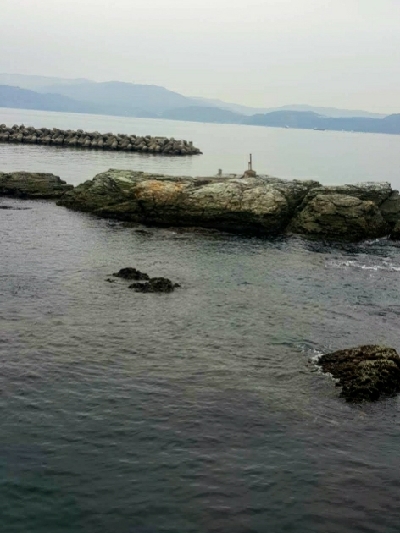 田ノ浦キス調査