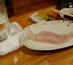 ノマセ釣り