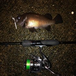 神戸ガシリング3