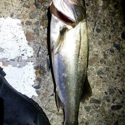 いい流れ、いいポイントで