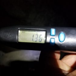 アオリ調査！！