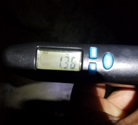 アオリ調査！！