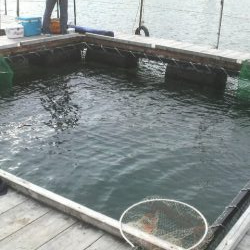 選択ミス？実力不足？