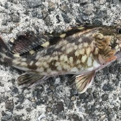 出勤前に。part4