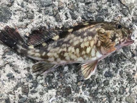 出勤前に。part4