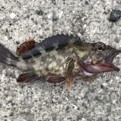 出勤前に。part 9