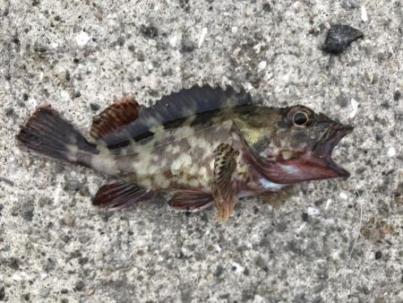 出勤前に。part 9