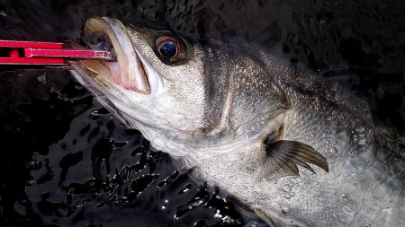 大潮の甲子園浜　６本