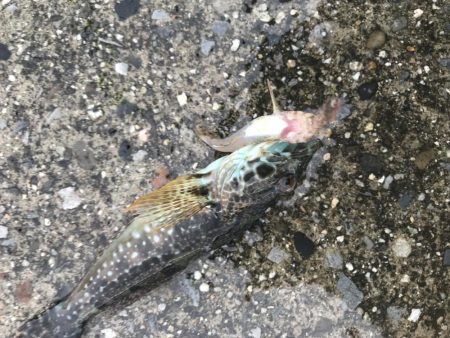 あいにくの雨です