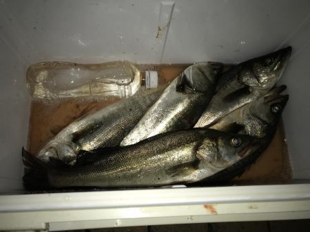 船の科学館 フッコ×5