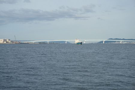 青物襲来。ボイル多数