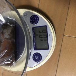 今年はタコが不調(T-T)