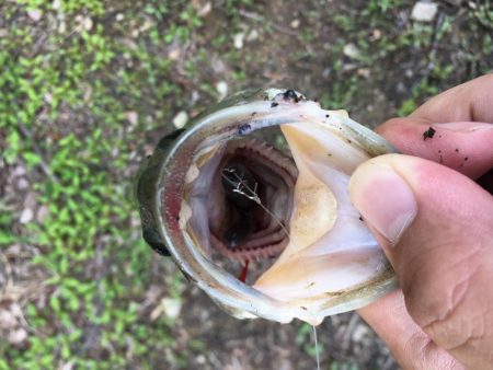 ゲーリーヤマモト最強⁉︎