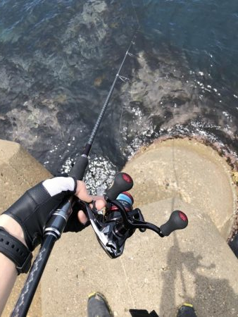 アオリ高活性!!