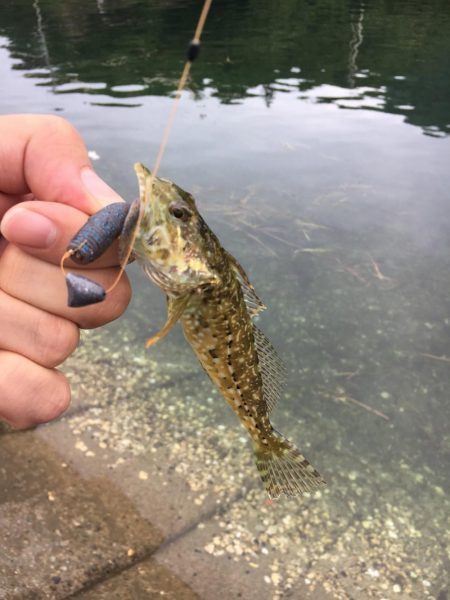 バスのワームで