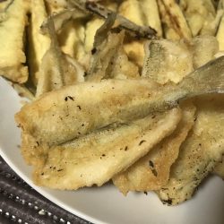 キスの時期になりました！