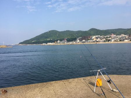 エギングに挑戦するも。。。