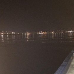 夜釣りは、さっぱり。