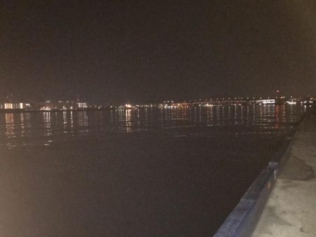 夜釣りは、さっぱり。