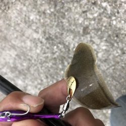 息子と休日釣行