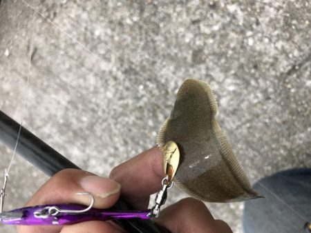 息子と休日釣行