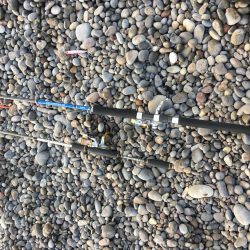 すごいファイト！